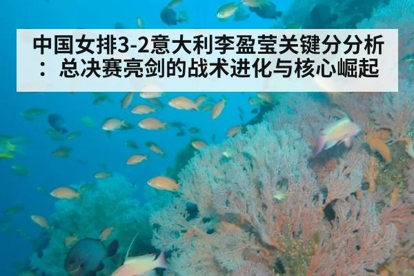 中国女排3-2意大利李盈莹关键分分析：总决赛亮剑的战术进化与核心崛起