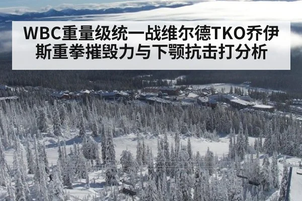 WBC重量级统一战维尔德TKO乔伊斯重拳摧毁力与下颚抗击打分析