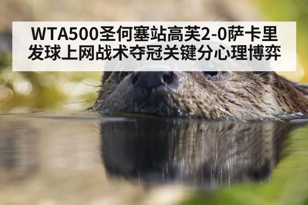 WTA500圣何塞站高芙2-0萨卡里发球上网战术夺冠关键分心理博弈